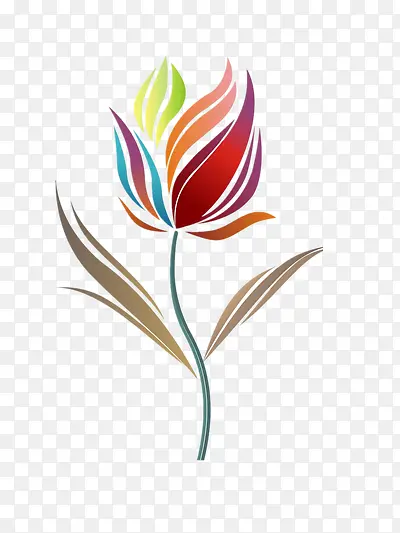 ��ɫ��-������