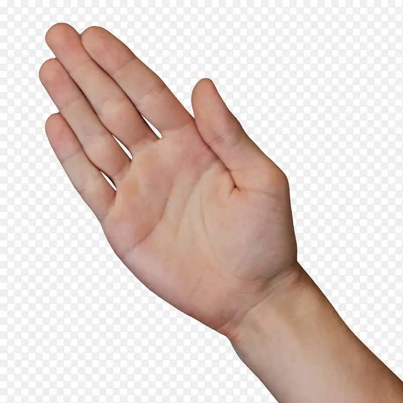 �������ָ-������