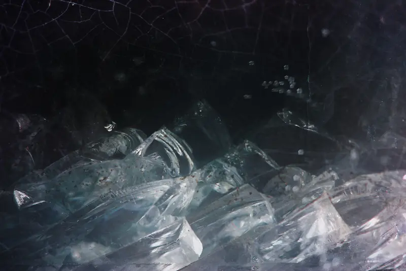 �������Ʊ���-������