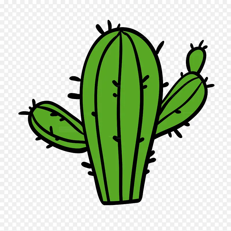 С���²廭�����ƿ�ͨ����-������