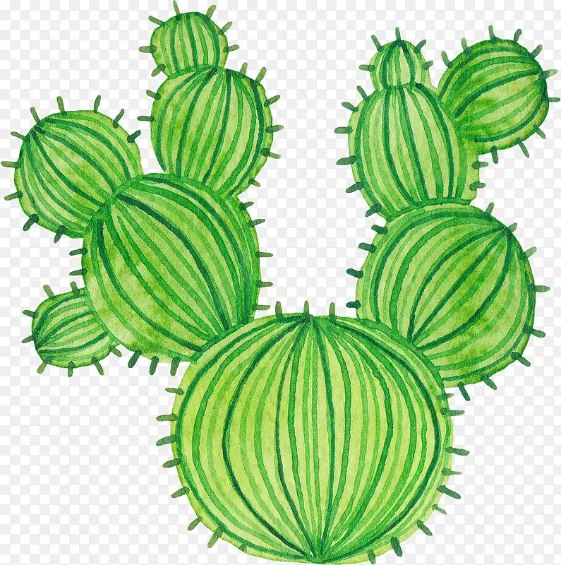 С���²廭�����ƿ�ͨ������-������