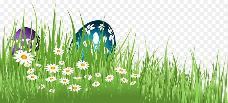 ����ڲݴ���Ĳʵ�-������