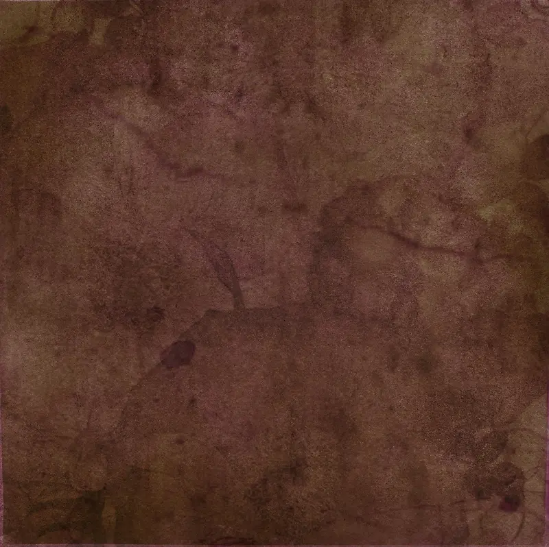 ��Ⱦģ��ֲ�ﱳ��-������