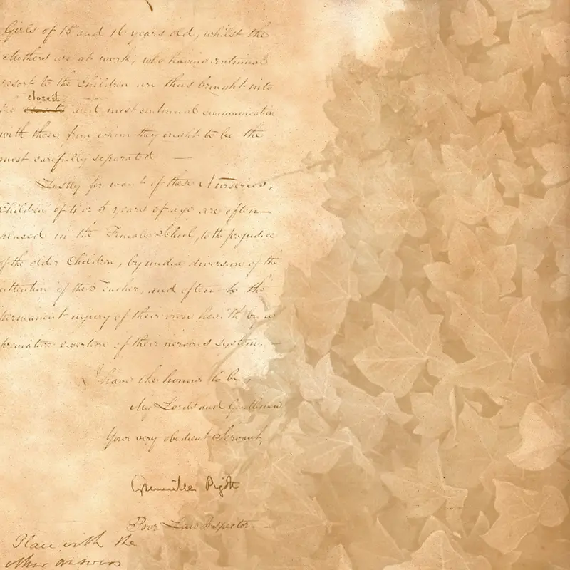 ��Ҷ��ֽ����-������