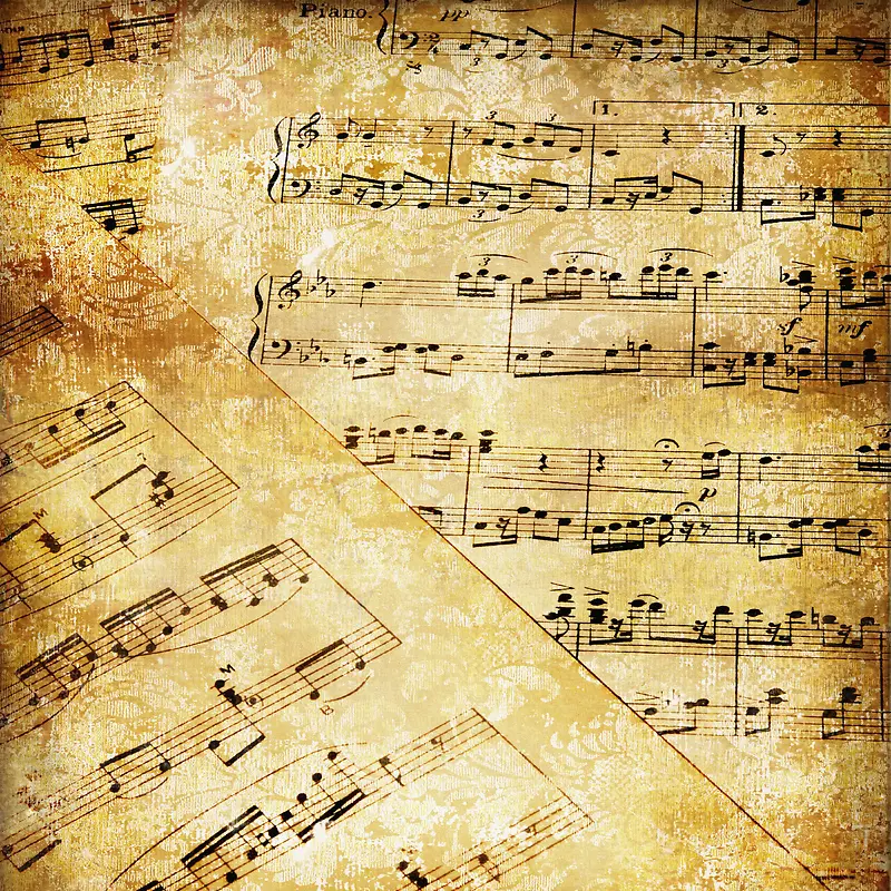 �����ױ���-������