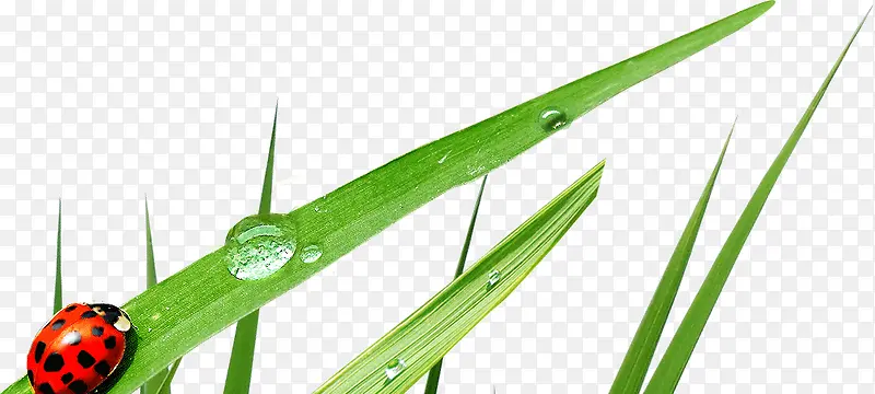 С��¶ˮư��-������