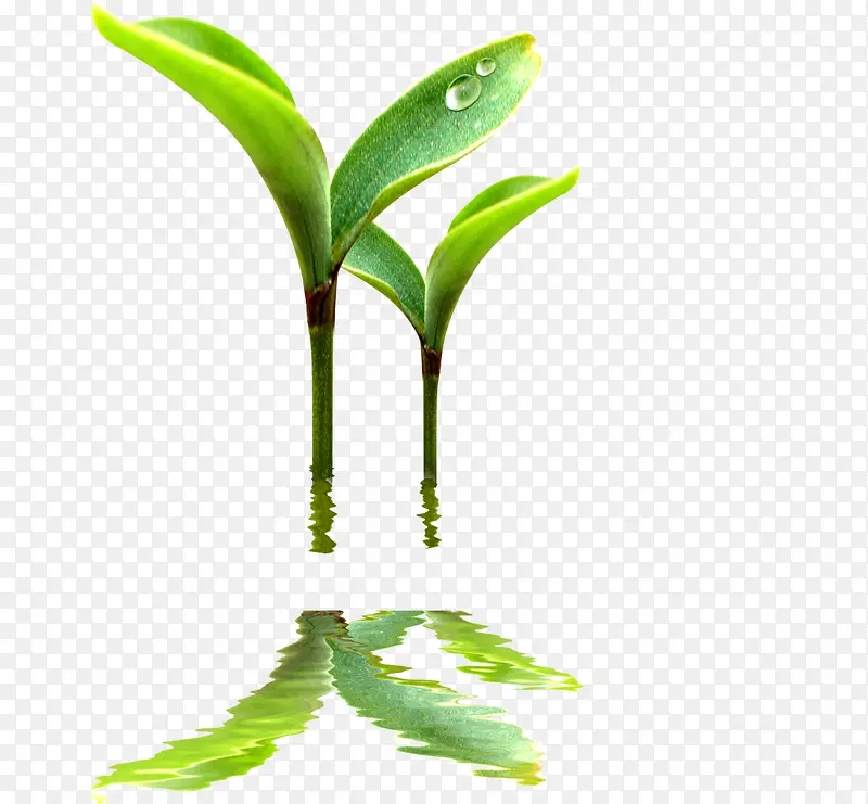 ��-������