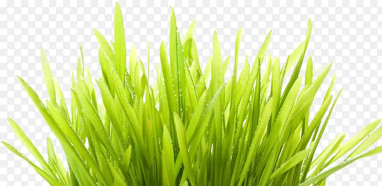 ��ɫС��-������