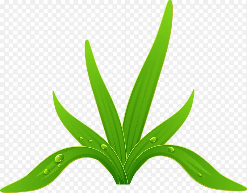 �ֻ��̲�-������