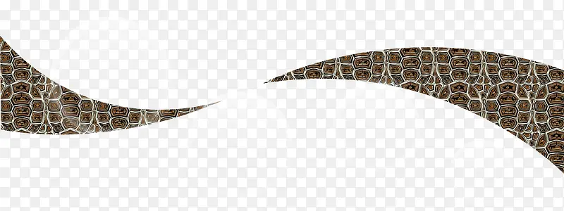 Ƥ������ʸ��ͼ-������