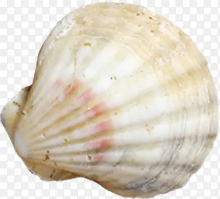 ��ɫ���ҿ��ڱ���-������