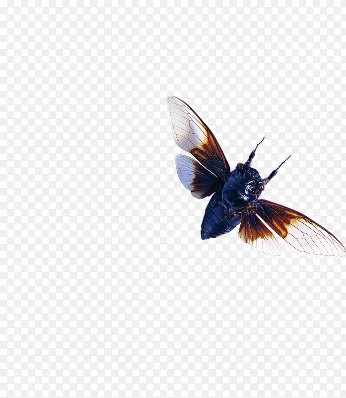 ����-������