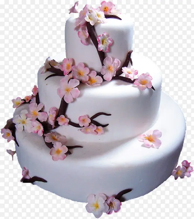 ����ϵ��-������