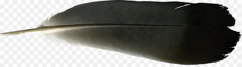 ��ɫ��ë-������