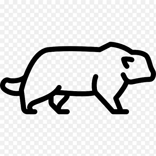 Pallasèͼ��-������