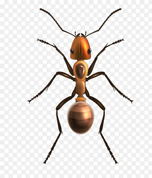 ʸ�������ز�-������