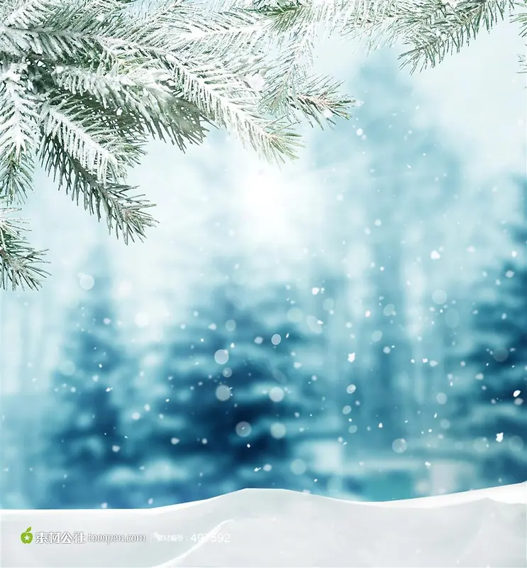 ѩ����֦������ֽ-������