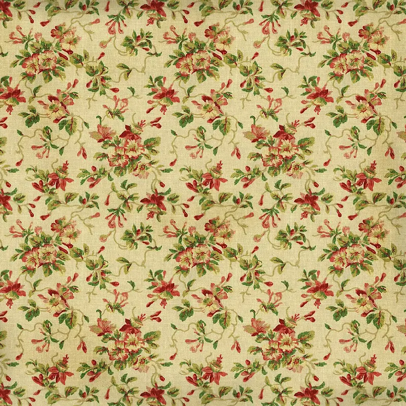 С�黨���Ʊ���-������