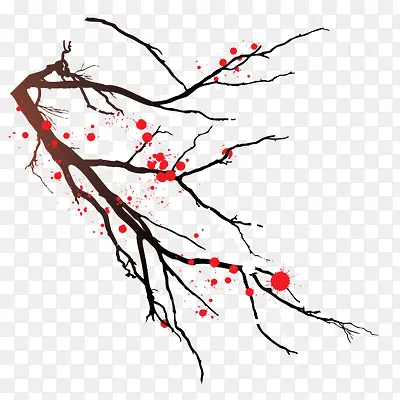 ÷����֦-������