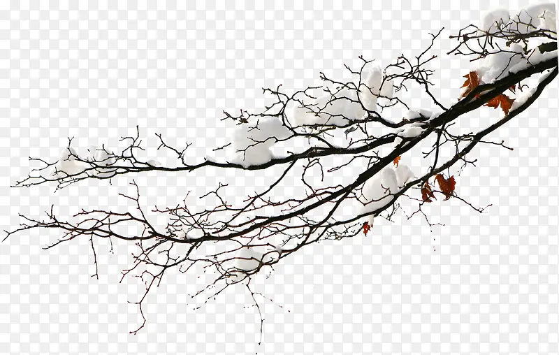 ����Ļ���ֲ����Ӱ-������