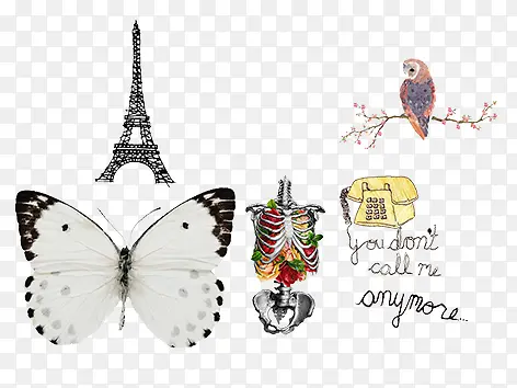 ʸ�����������绰-������