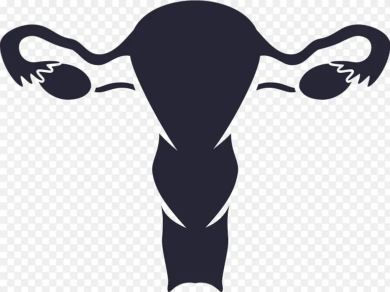 Ů��ֳϵͳ-������