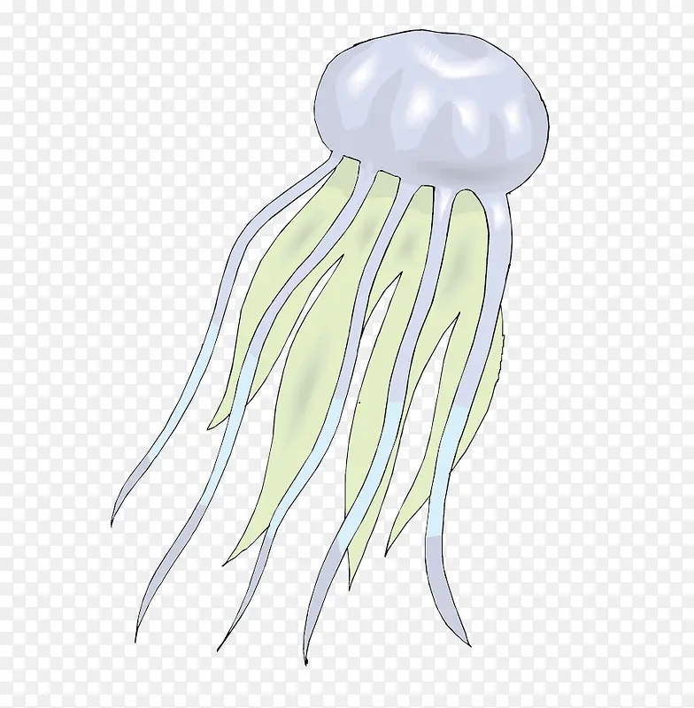 ʸ���ˮĸ�ز�-������