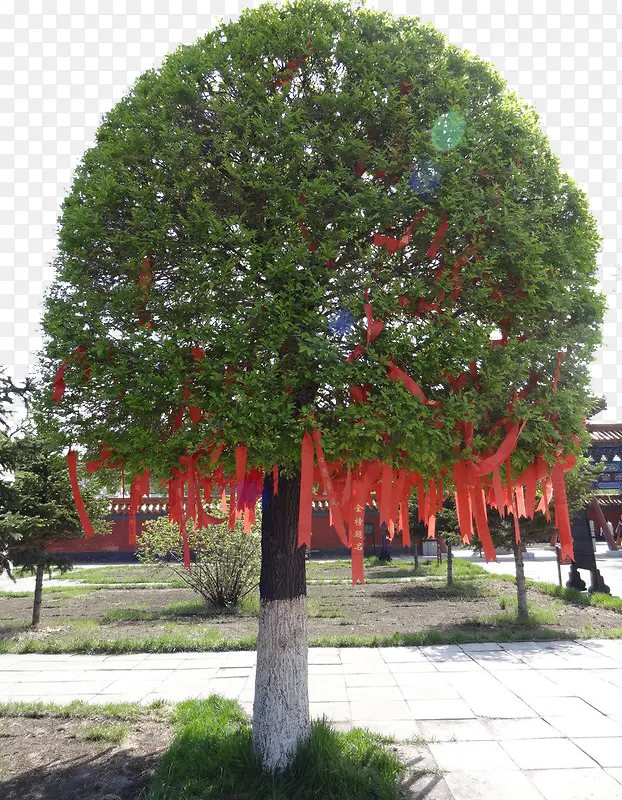 �����������Ը��-������