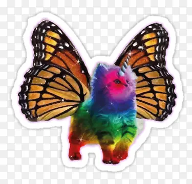 ���к������Ķ�����-������