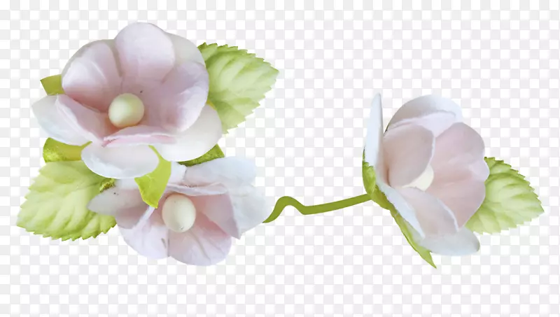 Ӥ������ķ������-������