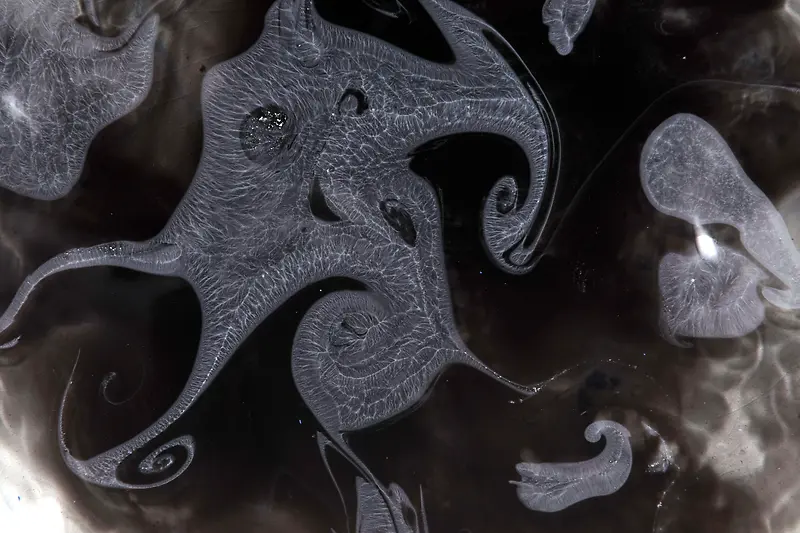 Һ�����̻��Ʊ���-������