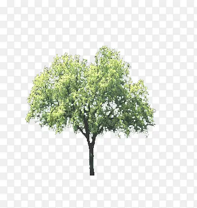 ��-������