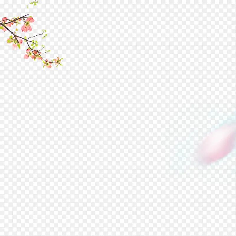 ÷������װ��-������