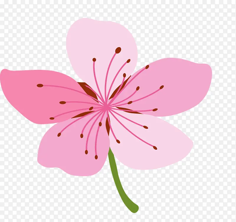 �ֻ��һ�-������