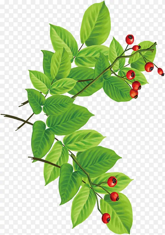 ��ͨɽ�����ҵ��-������