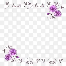 �ֳ�������-������