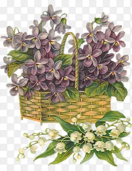 ��ͨ������-������