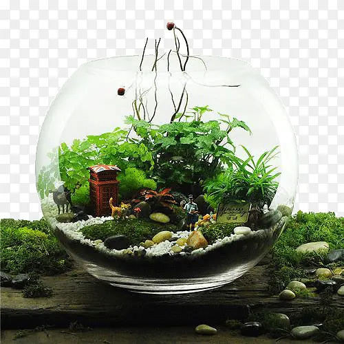 ���ⲣ���辰-������