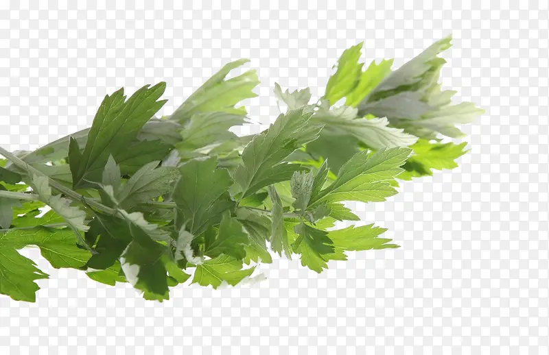 ����-������