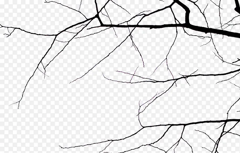 ����Ҷ�ӵĿ���֦-������