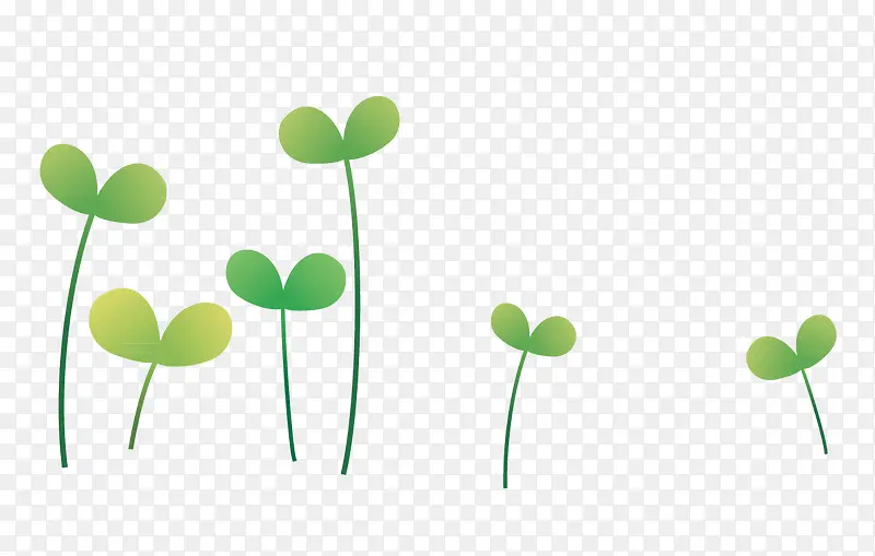 �ö��̲�-������