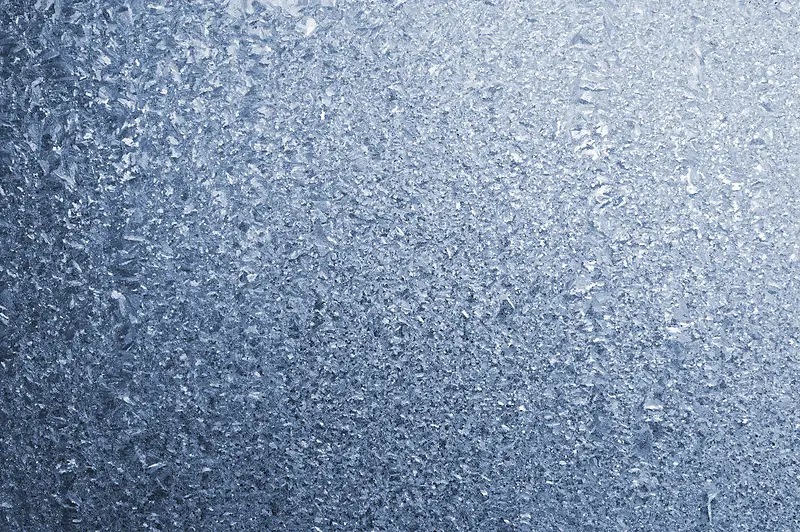 �������Ʊ���-������