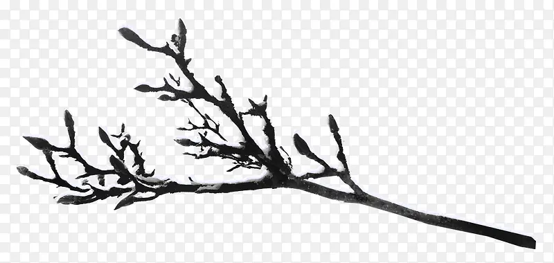 ��ѩ���ǿ�����֦-������