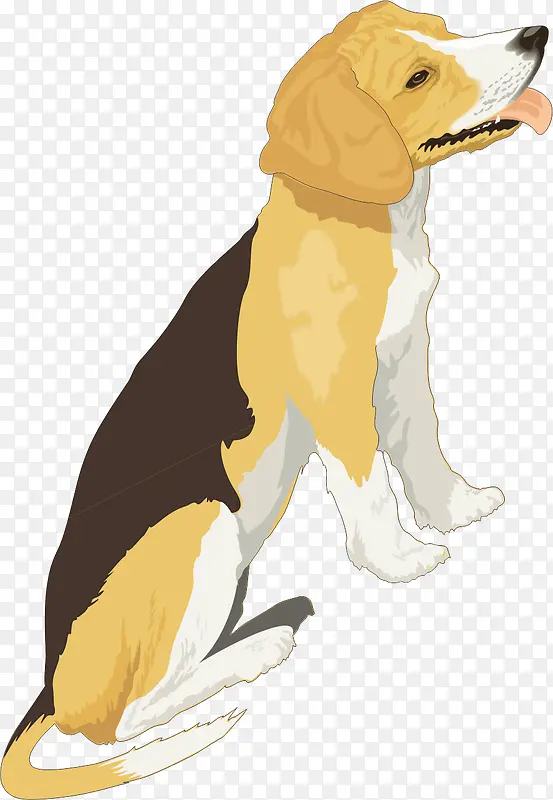 ��ͨ��ɫ�ֻ湷��-������