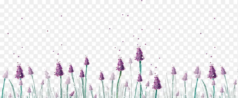 ޹�²�-������