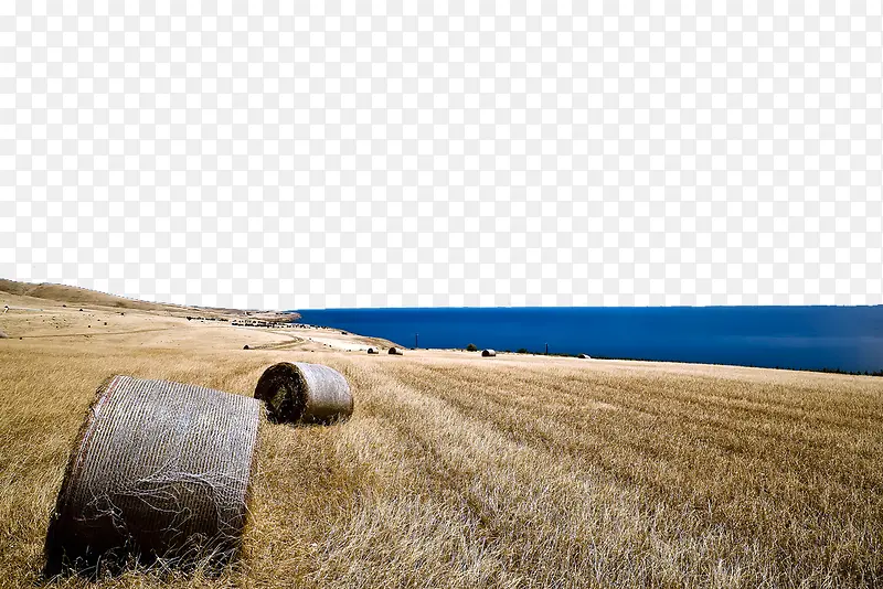 �Ϻ������µĲݶ�-������