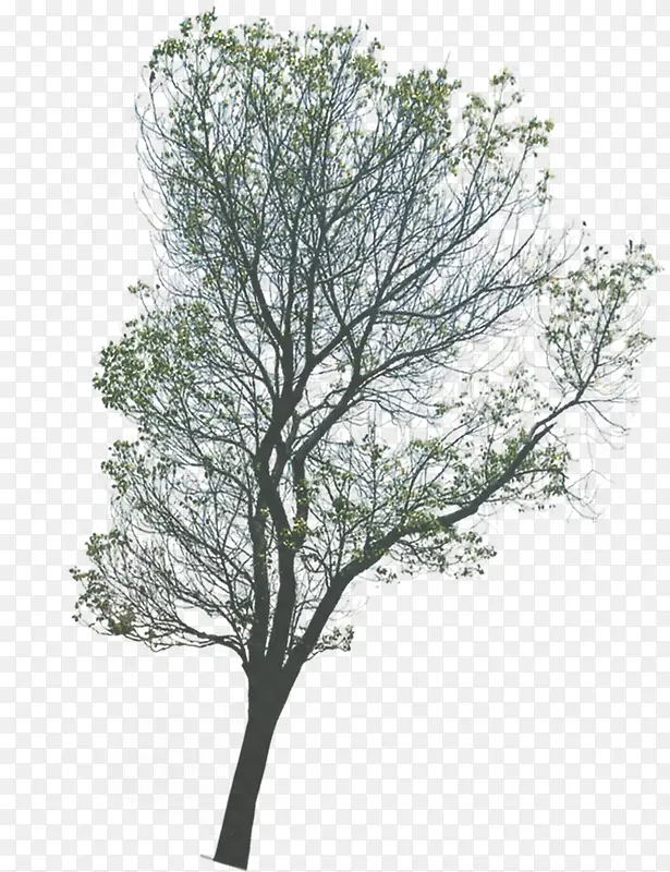 С��΢�紵������-������