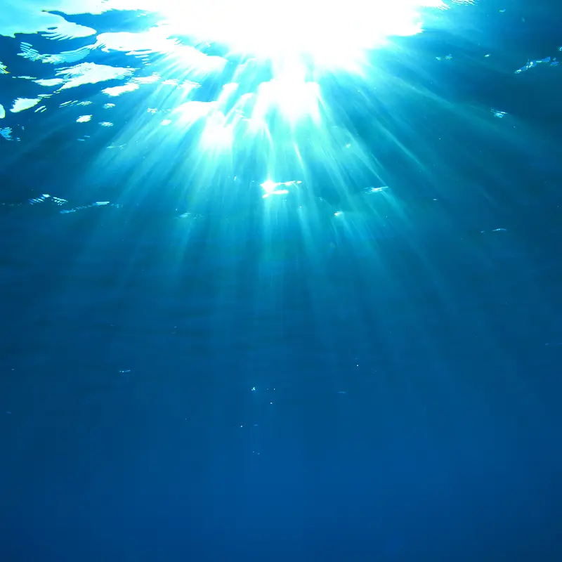 ˮ��Ψ��������Ӱ-������