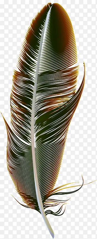 �ֻ���ë-������