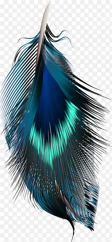 �ֻ���ë-������